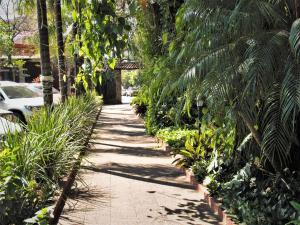 Vrt u objektu Gran Hotel del Paraguay