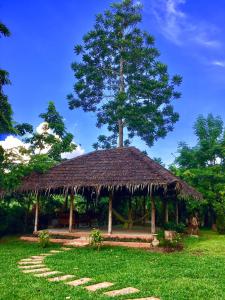 Taman di luar Chiang Dao Hostel