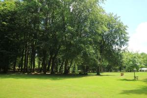 un parco con alberi e una panchina nell'erba di 50|50 Hotel Belmont a Ede