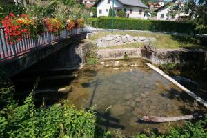 a body of water with a bridge and flowers w obiekcie Auberge Le Semnoz w mieście Saint-Jorioz