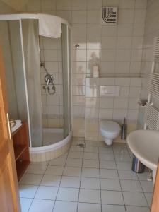 ein Bad mit einer Dusche, einem WC und einem Waschbecken in der Unterkunft Antela, 142 m2 appartment for 12 person in Mariborsko Pohorje in Hočko Pohorje