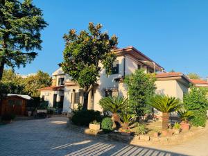 a house with trees and plants in front of it at 32 in Ciampino