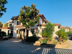 a house with trees and plants in front of it at 32 in Ciampino