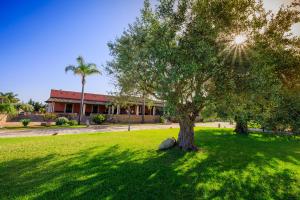 Agriturismo Masseria Sant' Elia室外花園