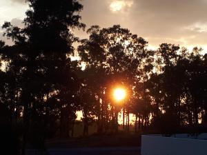 un coucher de soleil derrière un groupe d'arbres dans l'établissement Palacete Dos Alcaides, à Mine de São Domingos