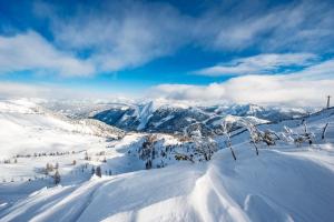 Hotel Salzburger Hof Zauchensee kapag winter