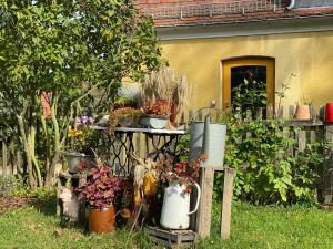 Jardí fora de Moderne Pension vonBartsch mit Ladestation in der sächsischen Schweiz