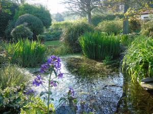 een tuin met een vijver met bloemen en planten bij The Old School B&B in Chichester