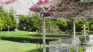 A garden outside Guizado Portillo Hacienda & Resort