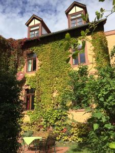 um edifício coberto de hera com um banco à frente em Ferienwohnung Huttenstraße Halle em Halle an der Saale