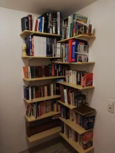 a book shelf filled with books on a wall at Ferienwohnung Preuß in Martinlamitz