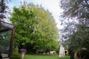 uitzicht op een tuin met bomen op de achtergrond bij Agriturismo Paradiso Di Barchi in Terracina