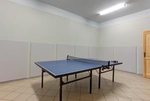 Stolný tenis v ubytovaní Dom Wczasowy Centrum Pieniny alebo v jeho okolí