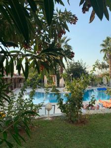 Бассейн в Olympos Hotel - Adults Only или поблизости