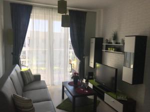 salon z kanapą i telewizorem w obiekcie Apartament Lucky w Pruszczu Gdańskim