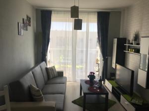 salon z kanapą i oknem w obiekcie Apartament Lucky w Pruszczu Gdańskim