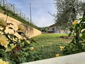 een steunmuur met gele bloemen in een tuin bij LE MAMMOLE in San Miniato