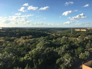 een luchtzicht op een bos van bomen bij Holiday Inn Express & Suites Austin NW - Four Points, an IHG Hotel in Four Points