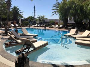 une grande piscine avec des chaises longues et des palmiers dans l'établissement Villa VIK - Hotel Boutique, à Arrecife