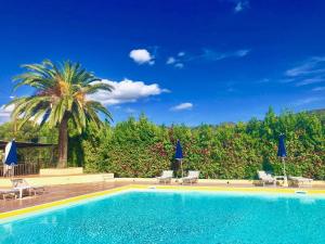 a swimming pool with chairs and a palm tree at Residence La Valdana in Capoliveri