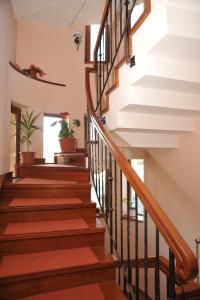 a winding staircase in a home with wooden railings at Pensiunea Kenza in Târgu-Mureş