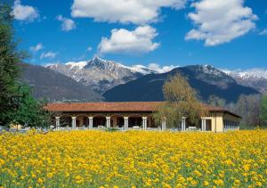 Paisaje cerca de este hotel