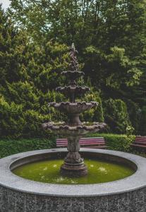 Una fuente en un parque con agua verde. en Olymp II, en Kołobrzeg