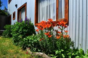 Vonkajšia záhrada v ubytovaní El Patagónico Hostel