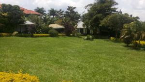 une cour d'une maison avec une pelouse verte dans l'établissement Victoria Panorama Hotel, à Jinja