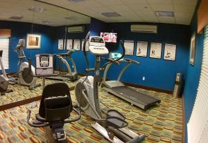 Gimnasio o equipo deportivo en Holiday Inn Express & Suites Lubbock Southwest – Wolfforth, an IHG Hotel