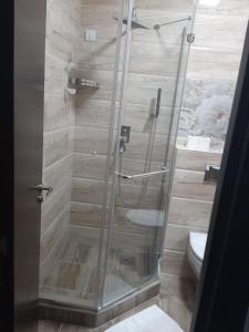 La salle de bains est pourvue d'une douche en verre et de toilettes. dans l'établissement Hotel Usce, à Šabac