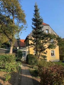 une maison avec un pin devant elle dans l'établissement Ferienhaus Elbufer 83, à Bad Schandau