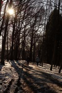 Due persone che camminano lungo un sentiero coperto di neve di Belle vue a Malmedy