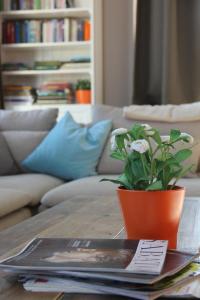 una mesa con una maceta encima de una mesa en Villa Louise, en Durbuy