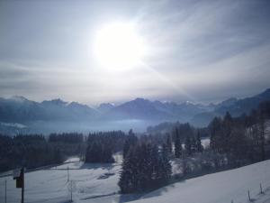 une colline enneigée avec des arbres et des montagnes en arrière-plan dans l'établissement Landhaus Eggensberger, à Fischen im Allgäu