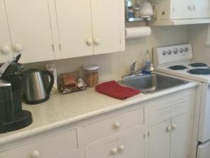 a kitchen counter with a sink and a stove at Burley's Executive Garden Suite in Peterborough