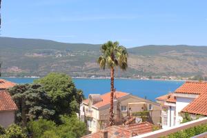 una palmera y casas con vistas al agua en Guest House Tomanovic, en Herceg-Novi