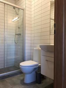 La salle de bains est pourvue de toilettes, d'une douche et d'un lavabo. dans l'établissement COMFY Patogūs namai, à Kaunas