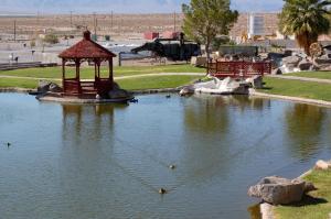 un laghetto con gazebo in un parco di Longstreet Inn & Casino ad Amargosa Valley