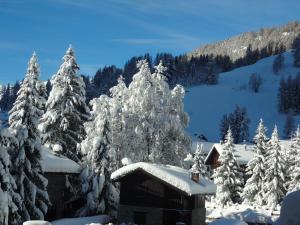 Hotel L' Aiglon tokom zime