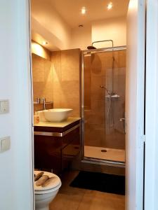 een badkamer met een douche, een wastafel en een toilet bij SW Cosy Apart - Chambly Persan Roissy in Persan