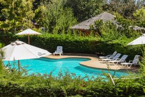 A piscina localizada em Pao Pao Lodge Algarrobo ou nos arredores