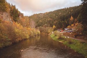 a river in the middle of a forest at Apartmány Svatošské skály in Loket