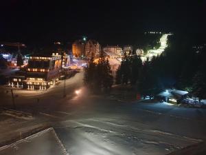 Photo de la galerie de l'établissement VILA JEZERO, à Kopaonik