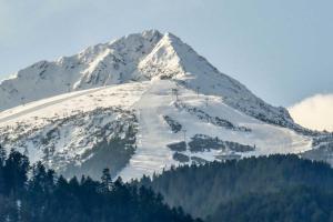 a snow covered mountain with trees in front of it at Park Hotel Panorama in Bansko