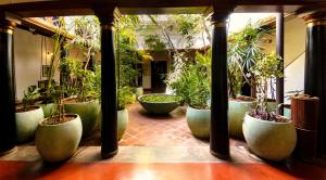 um grupo de vasos verdes com plantas neles em Maison Perumal Pondicherry - a CGH Earth Experience em Pondicherry