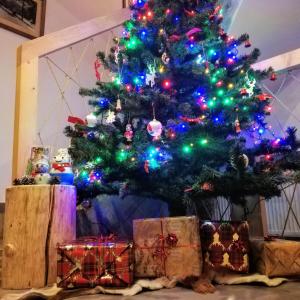 Un albero di Natale con dei regali sotto. di Willa u Kuruca a Witów