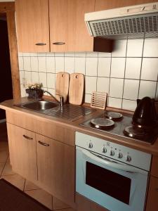 a kitchen with a sink and a stove top oven at Villa Waidhof in Schierke