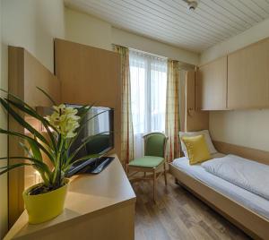 Cette petite chambre comprend un lit et une plante en pot. dans l'établissement Hotel Blume Interlaken, à Interlaken