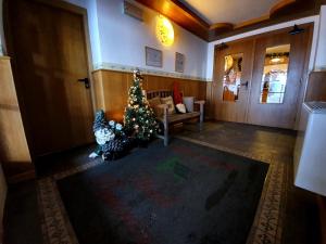 パッソ・デル・トナーレにあるHotel Panoramaの扉付きの部屋のクリスマスツリー